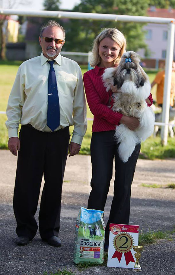 shih-tzu